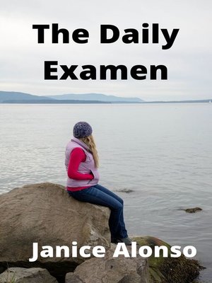 cover image of The Daily Examen